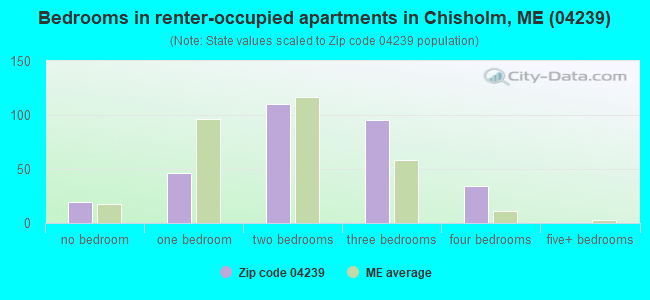 Bedrooms in renter-occupied apartments in Chisholm, ME (04239) 