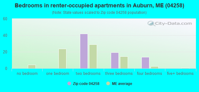 Bedrooms in renter-occupied apartments in Auburn, ME (04258) 