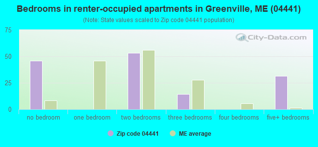 Bedrooms in renter-occupied apartments in Greenville, ME (04441) 