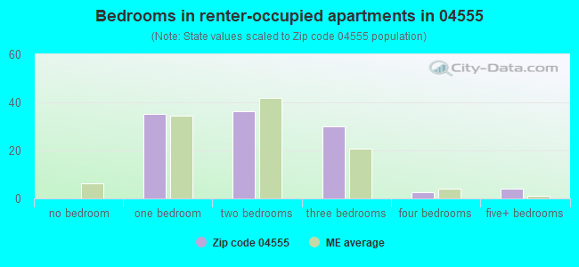 Bedrooms in renter-occupied apartments in 04555 