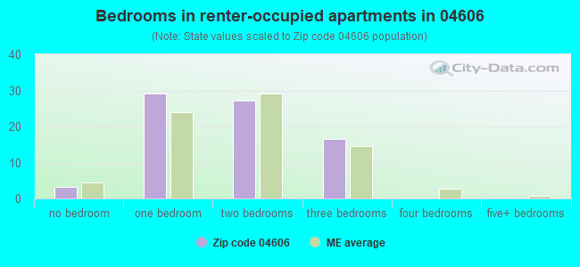 Bedrooms in renter-occupied apartments in 04606 