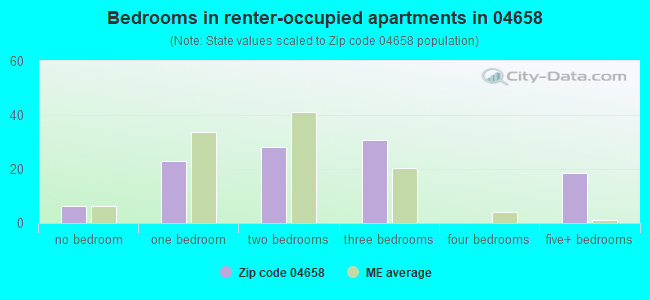 Bedrooms in renter-occupied apartments in 04658 