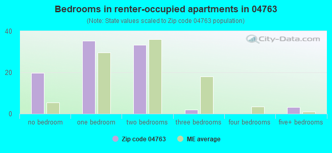 Bedrooms in renter-occupied apartments in 04763 