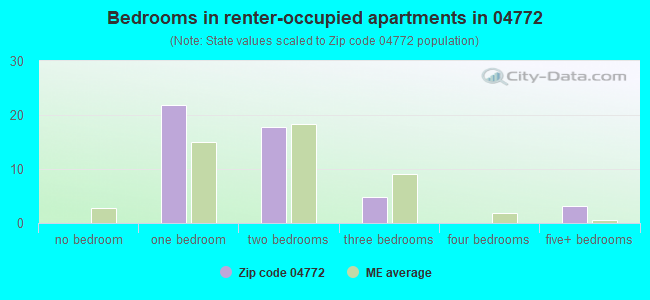 Bedrooms in renter-occupied apartments in 04772 