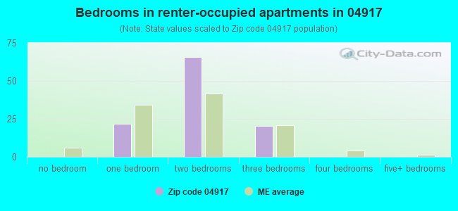 Bedrooms in renter-occupied apartments in 04917 