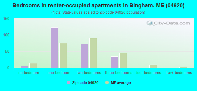 Bedrooms in renter-occupied apartments in Bingham, ME (04920) 