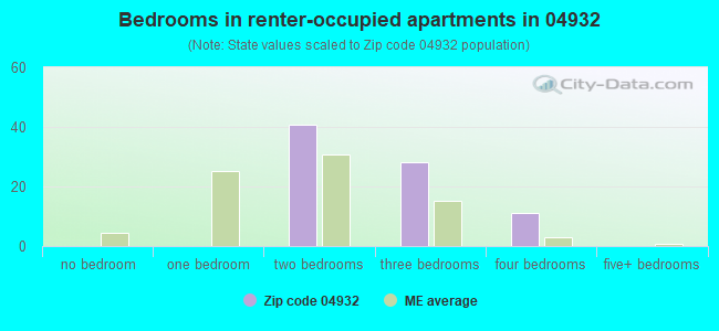 Bedrooms in renter-occupied apartments in 04932 