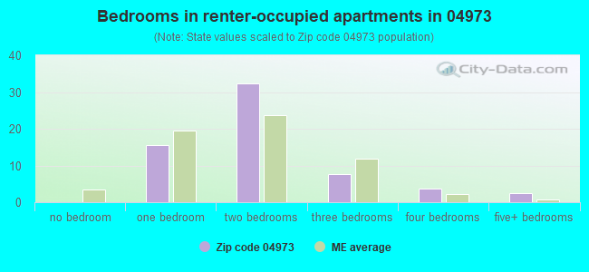 Bedrooms in renter-occupied apartments in 04973 