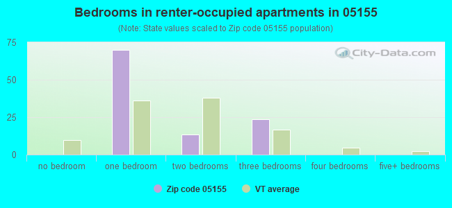 Bedrooms in renter-occupied apartments in 05155 