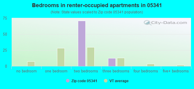 Bedrooms in renter-occupied apartments in 05341 