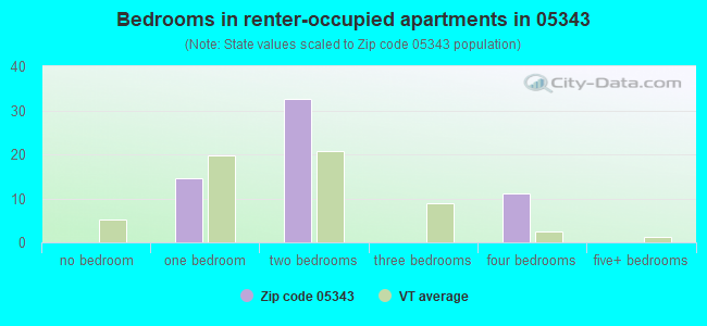 Bedrooms in renter-occupied apartments in 05343 