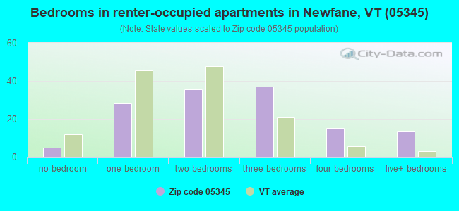 Bedrooms in renter-occupied apartments in Newfane, VT (05345) 