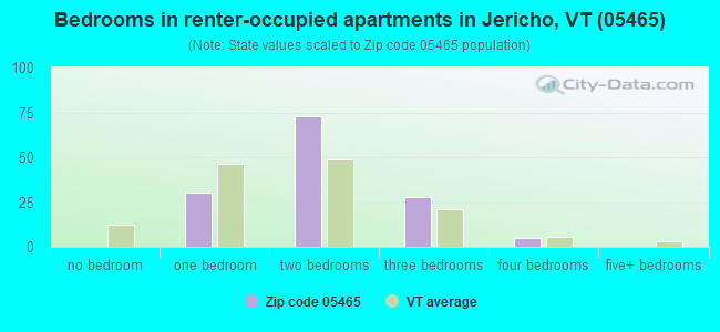 Bedrooms in renter-occupied apartments in Jericho, VT (05465) 