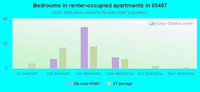 Bedrooms in renter-occupied apartments in 05487 