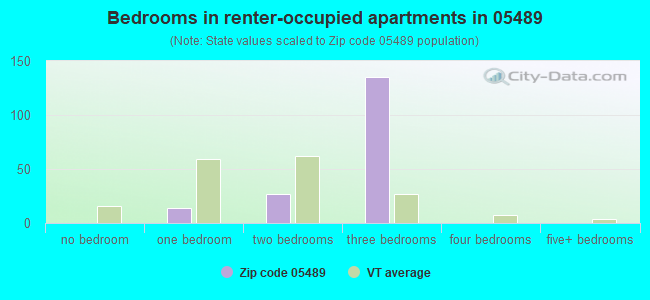 Bedrooms in renter-occupied apartments in 05489 