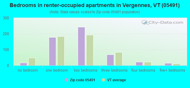 Bedrooms in renter-occupied apartments in Vergennes, VT (05491) 