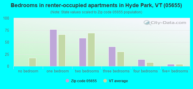 Bedrooms in renter-occupied apartments in Hyde Park, VT (05655) 