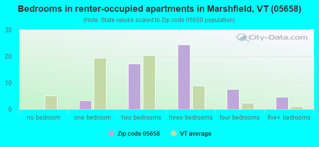 Bedrooms in renter-occupied apartments in Marshfield, VT (05658) 