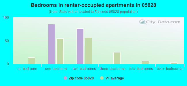 Bedrooms in renter-occupied apartments in 05828 