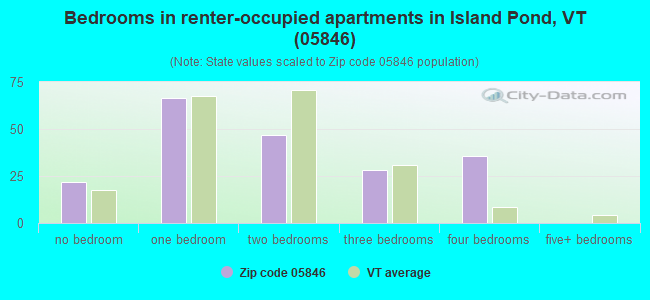 Bedrooms in renter-occupied apartments in Island Pond, VT (05846) 