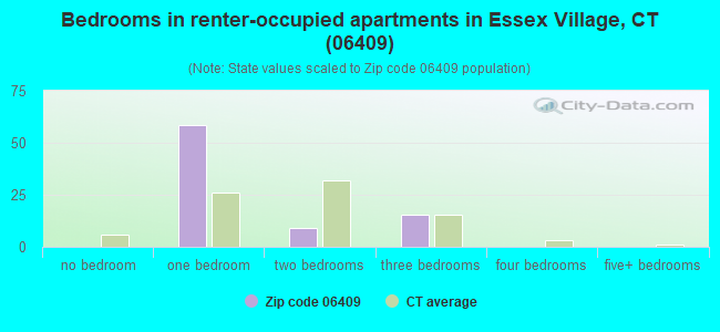 Bedrooms in renter-occupied apartments in Essex Village, CT (06409) 