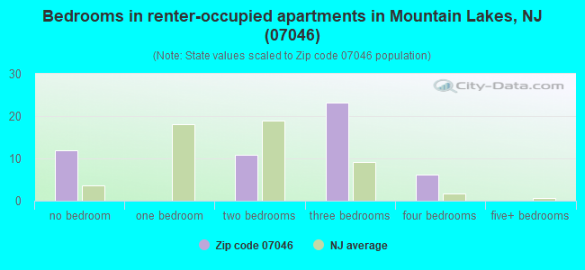 Bedrooms in renter-occupied apartments in Mountain Lakes, NJ (07046) 