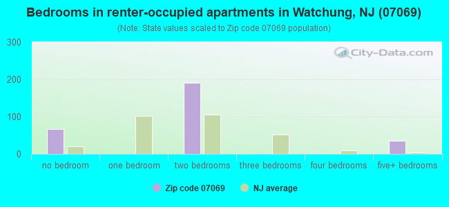 Bedrooms in renter-occupied apartments in Watchung, NJ (07069) 