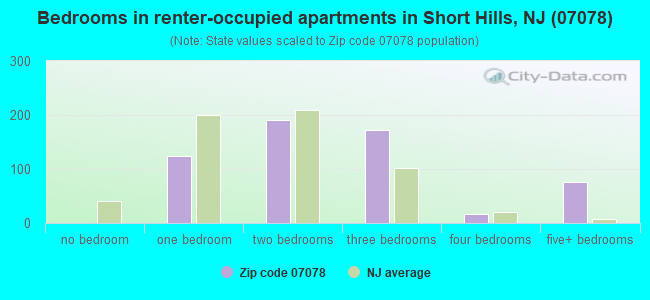 Bedrooms in renter-occupied apartments in Short Hills, NJ (07078) 