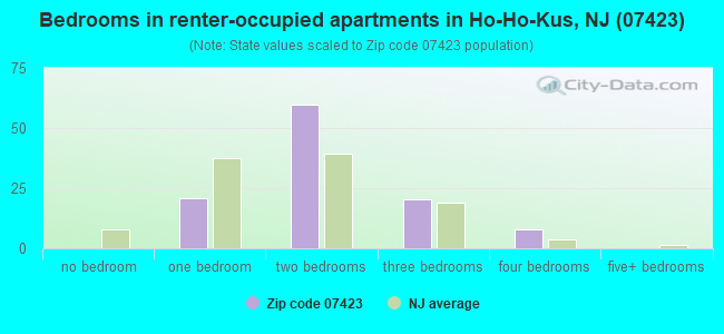Bedrooms in renter-occupied apartments in Ho-Ho-Kus, NJ (07423) 