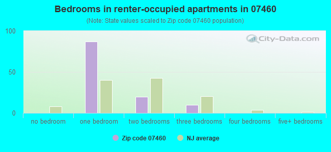 Bedrooms in renter-occupied apartments in 07460 