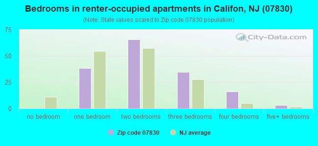 Bedrooms in renter-occupied apartments in Califon, NJ (07830) 