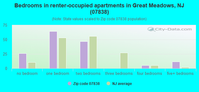 Bedrooms in renter-occupied apartments in Great Meadows, NJ (07838) 