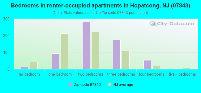 Bedrooms in renter-occupied apartments in Hopatcong, NJ (07843) 