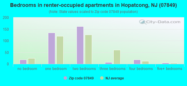 Bedrooms in renter-occupied apartments in Hopatcong, NJ (07849) 