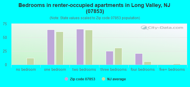 Bedrooms in renter-occupied apartments in Long Valley, NJ (07853) 