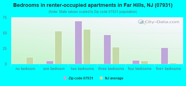 Bedrooms in renter-occupied apartments in Far Hills, NJ (07931) 