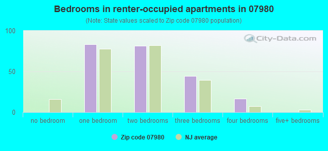 Bedrooms in renter-occupied apartments in 07980 