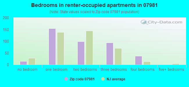 Bedrooms in renter-occupied apartments in 07981 