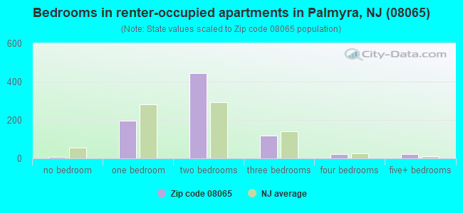 Bedrooms in renter-occupied apartments in Palmyra, NJ (08065) 