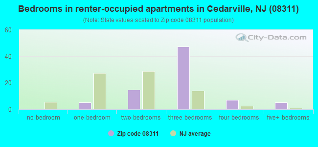 Bedrooms in renter-occupied apartments in Cedarville, NJ (08311) 