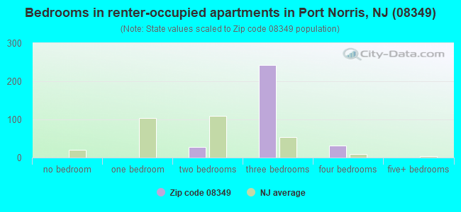 Bedrooms in renter-occupied apartments in Port Norris, NJ (08349) 