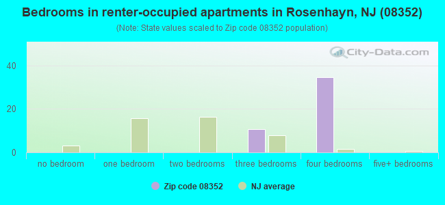 Bedrooms in renter-occupied apartments in Rosenhayn, NJ (08352) 