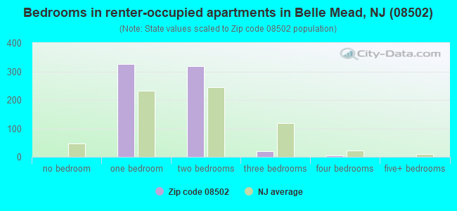 Bedrooms in renter-occupied apartments in Belle Mead, NJ (08502) 