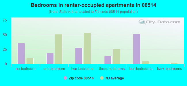 Bedrooms in renter-occupied apartments in 08514 