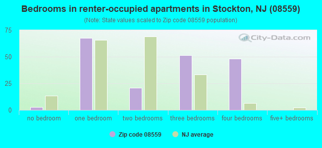 Bedrooms in renter-occupied apartments in Stockton, NJ (08559) 