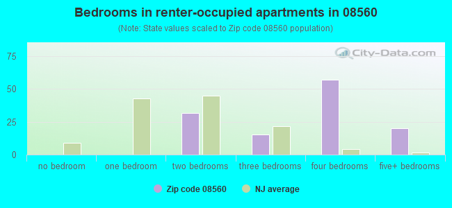 Bedrooms in renter-occupied apartments in 08560 