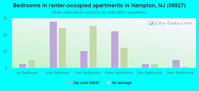 Bedrooms in renter-occupied apartments in Hampton, NJ (08827) 