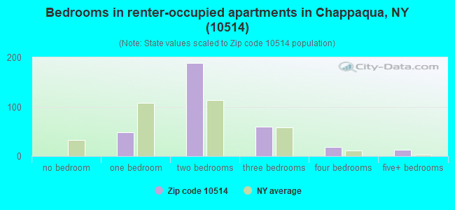 Bedrooms in renter-occupied apartments in Chappaqua, NY (10514) 
