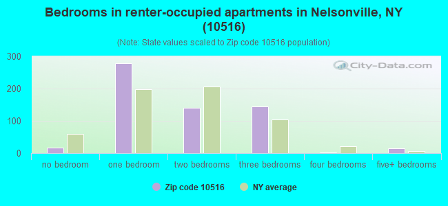 Bedrooms in renter-occupied apartments in Nelsonville, NY (10516) 