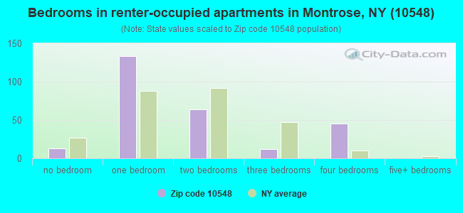 Bedrooms in renter-occupied apartments in Montrose, NY (10548) 